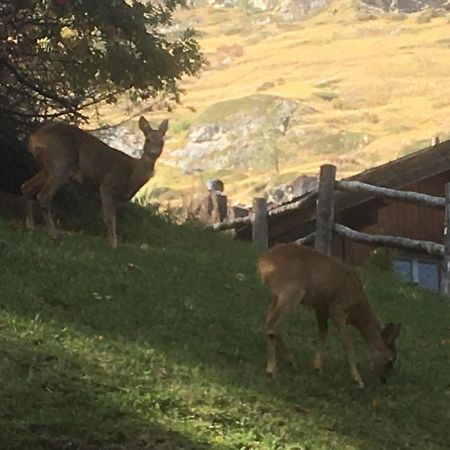 Apartment Balma 3 Rooms Zermatt Ngoại thất bức ảnh