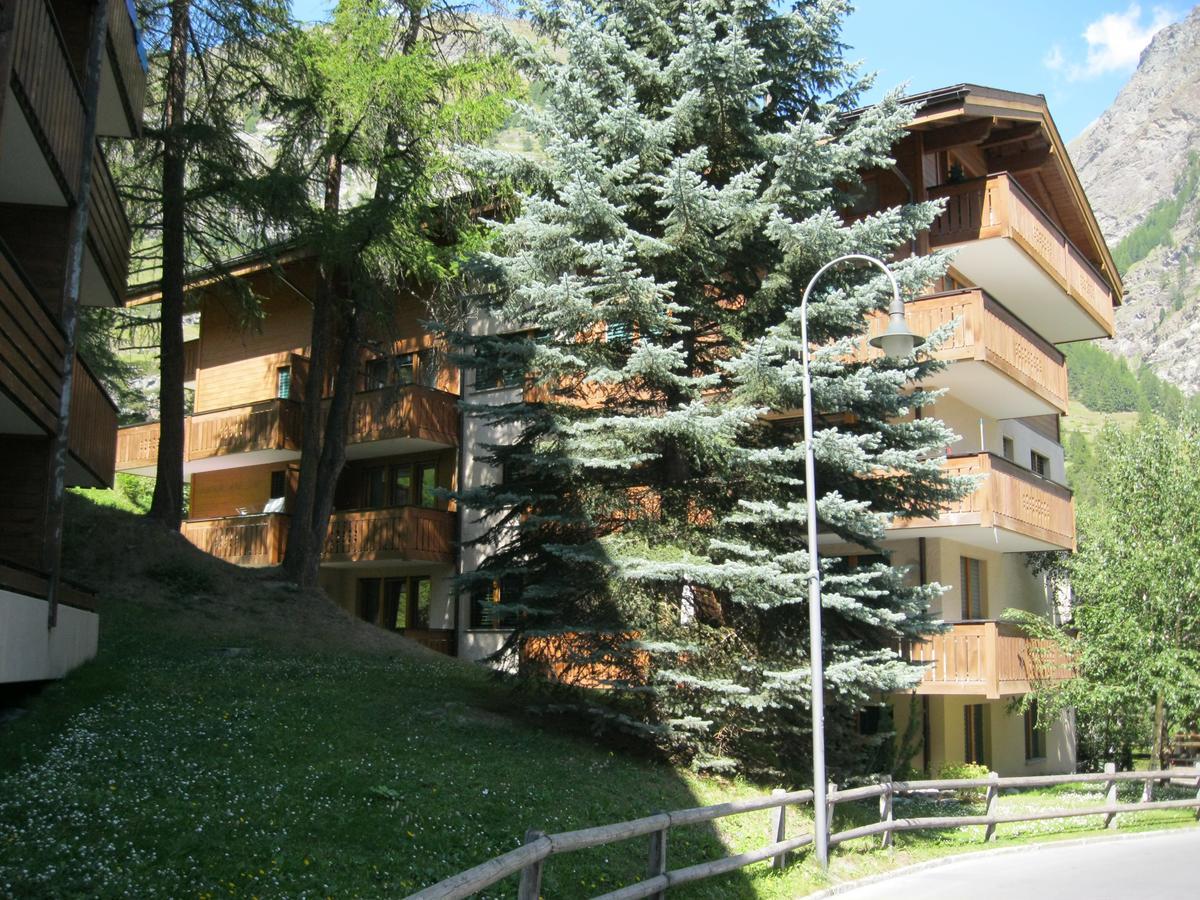 Apartment Balma 3 Rooms Zermatt Ngoại thất bức ảnh